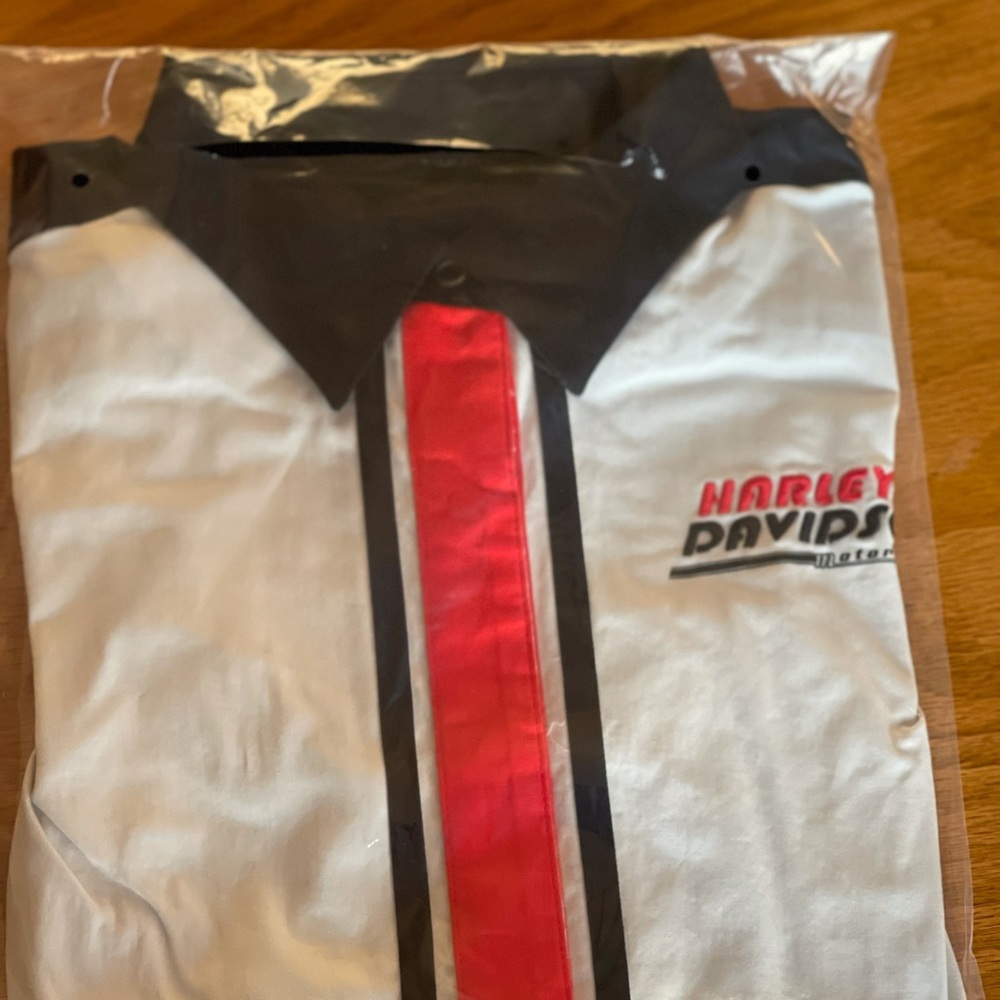 HARLEY DAVIDSON - Picture 4 of 8